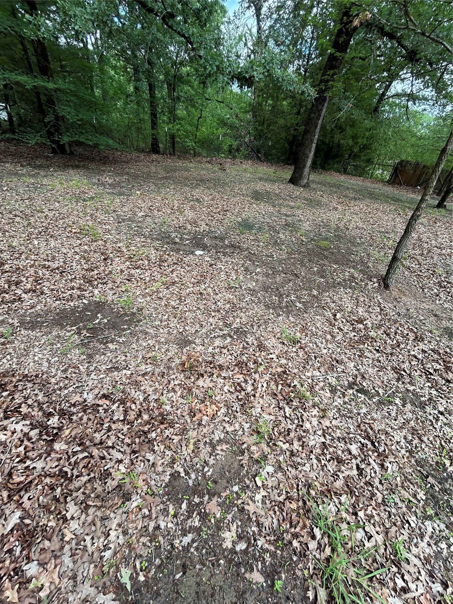 Image 3 Image 3