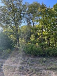 18038 Southhill Drive