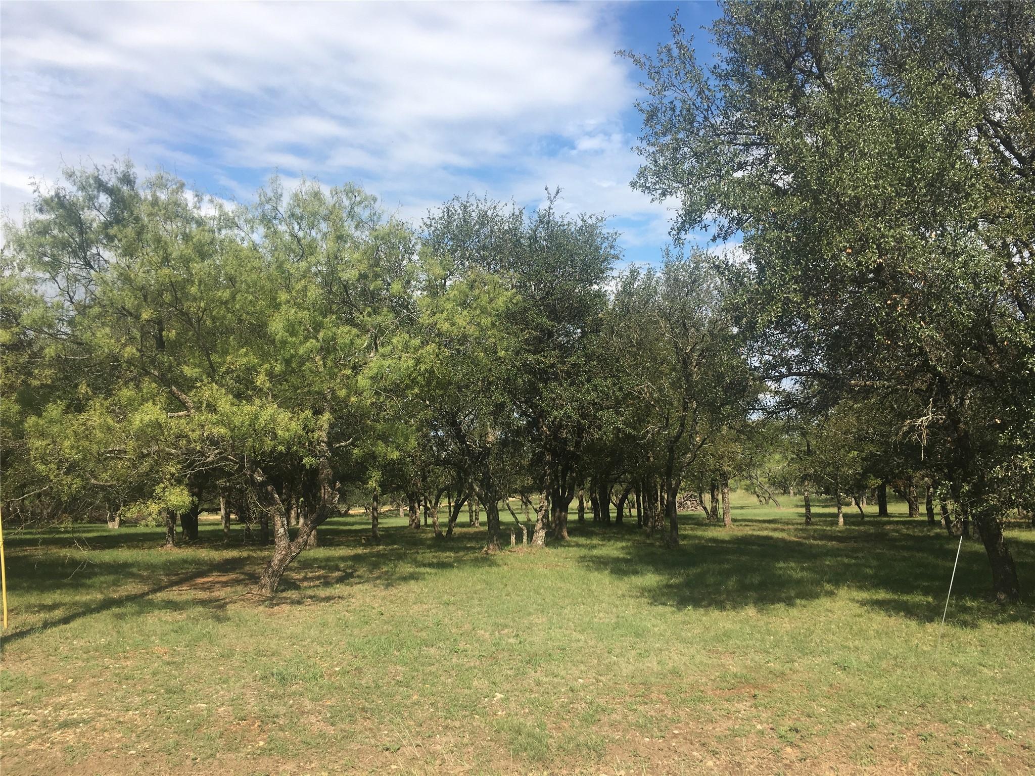 Image 3 Image 3