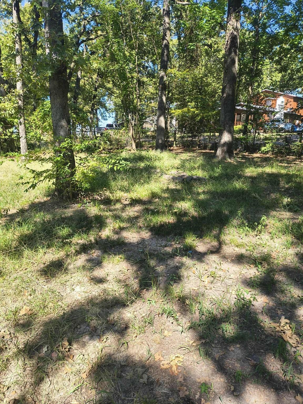 Image 4 Image 4