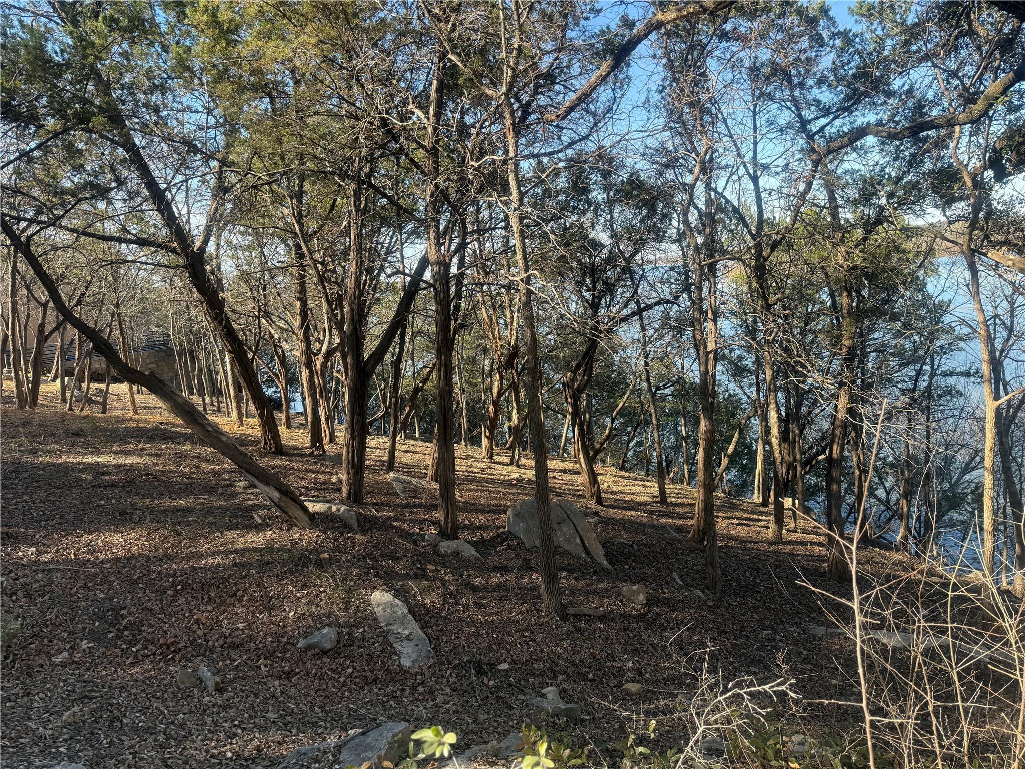 Image 3 Image 3