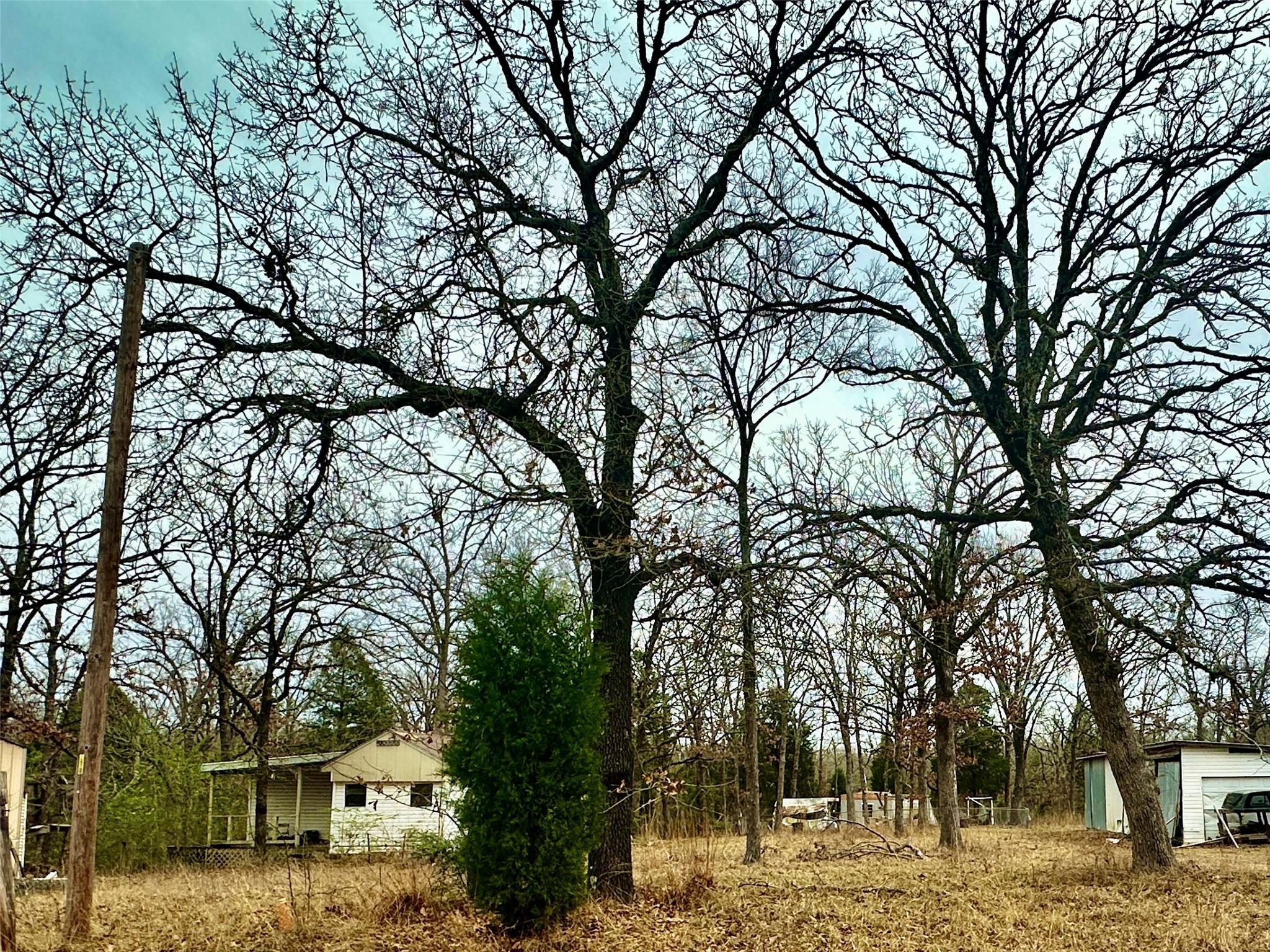 Image 4 Image 4
