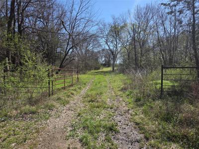 294 County Road 2809