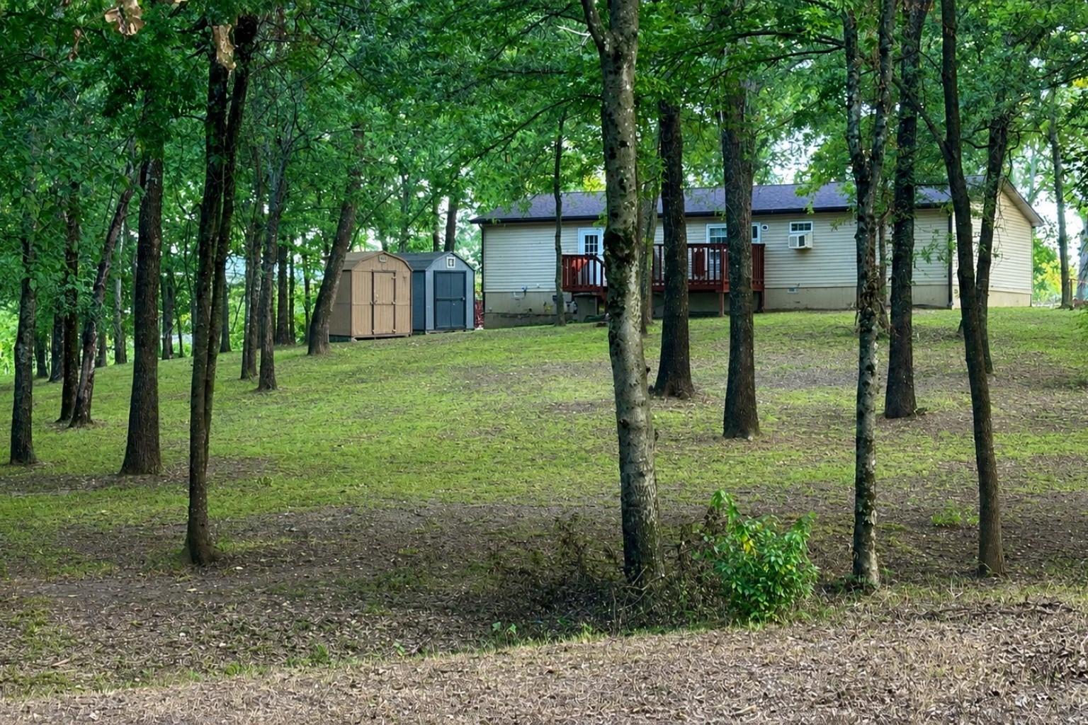 Image 4 Image 4