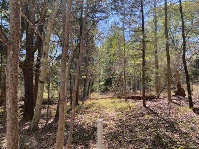 TBD Broad Meadow