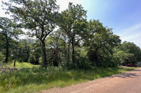 TBD Natchez Trail