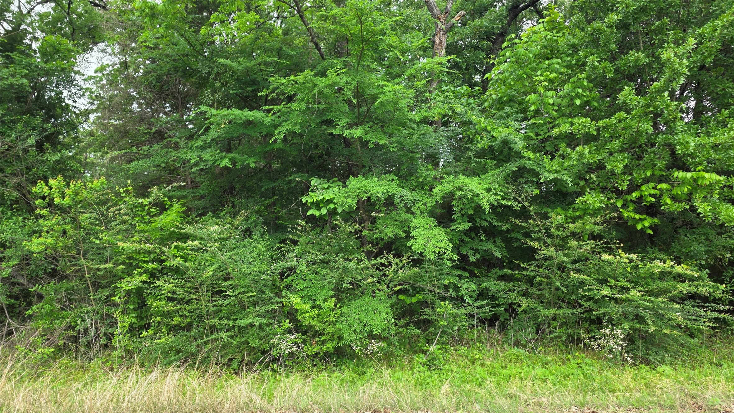 Image 2 Image 2