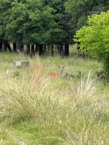 Lot 237 Vista Pointe Drive