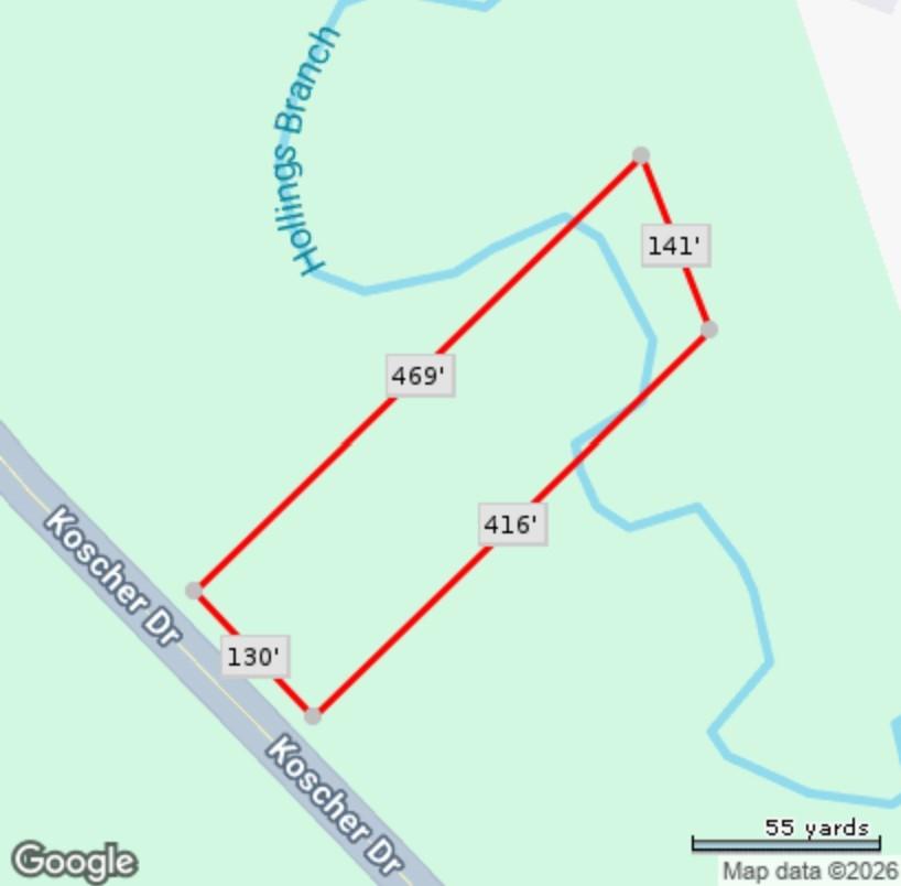 Image 1 Image 1