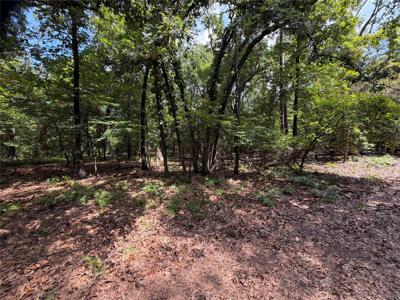 Lot 29 & 30 King Arthur Court