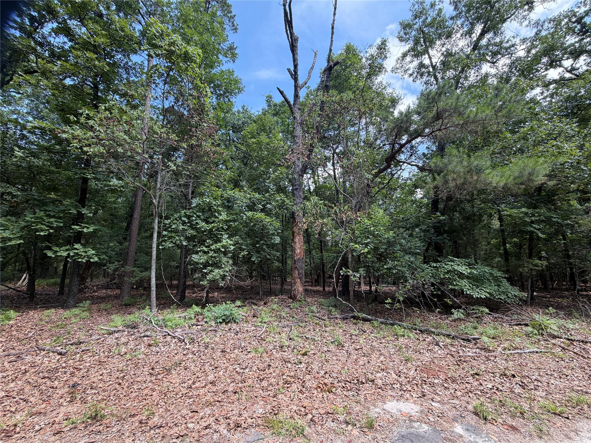 Image 4 Image 4