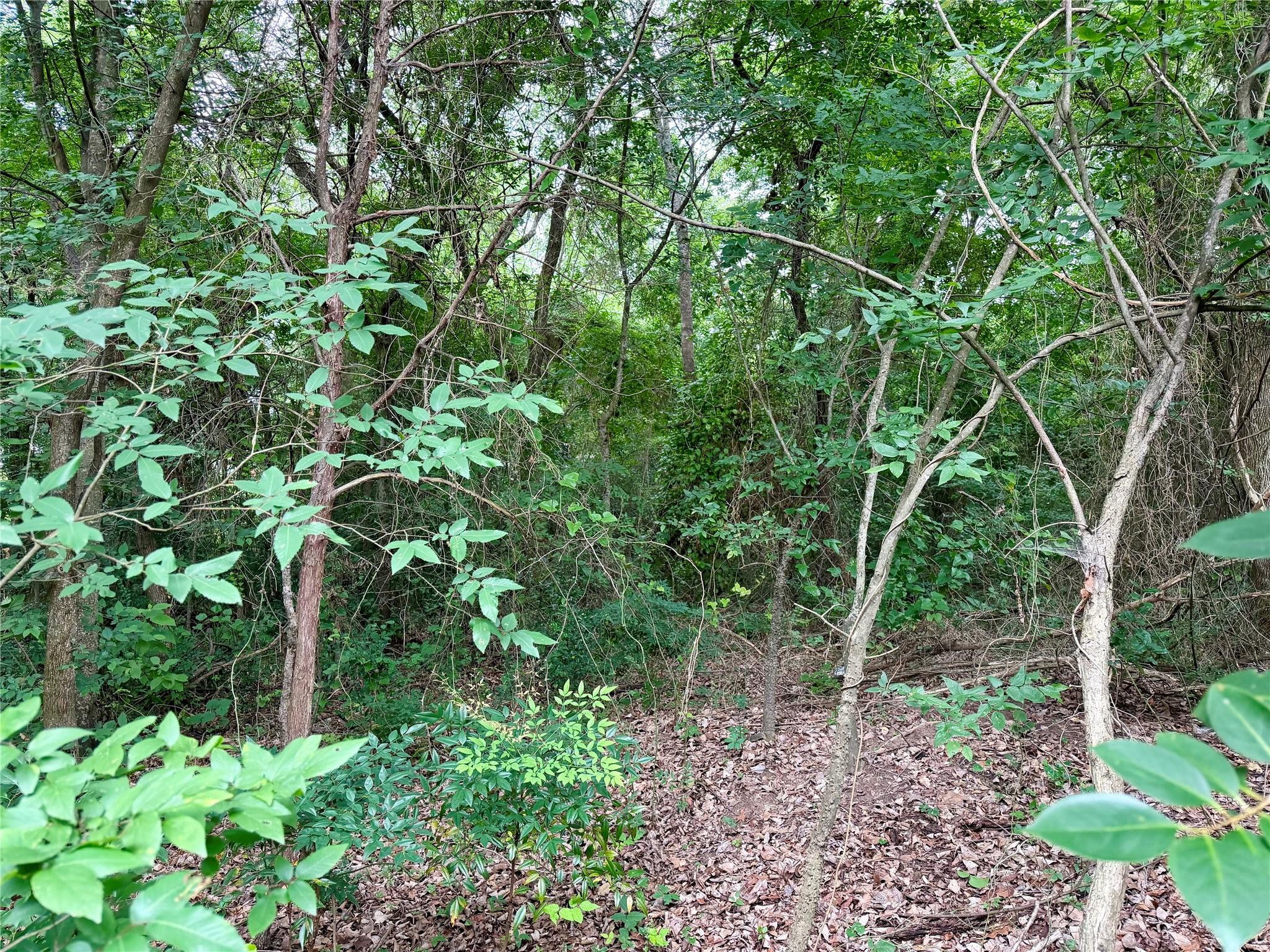 Image 3 Image 3