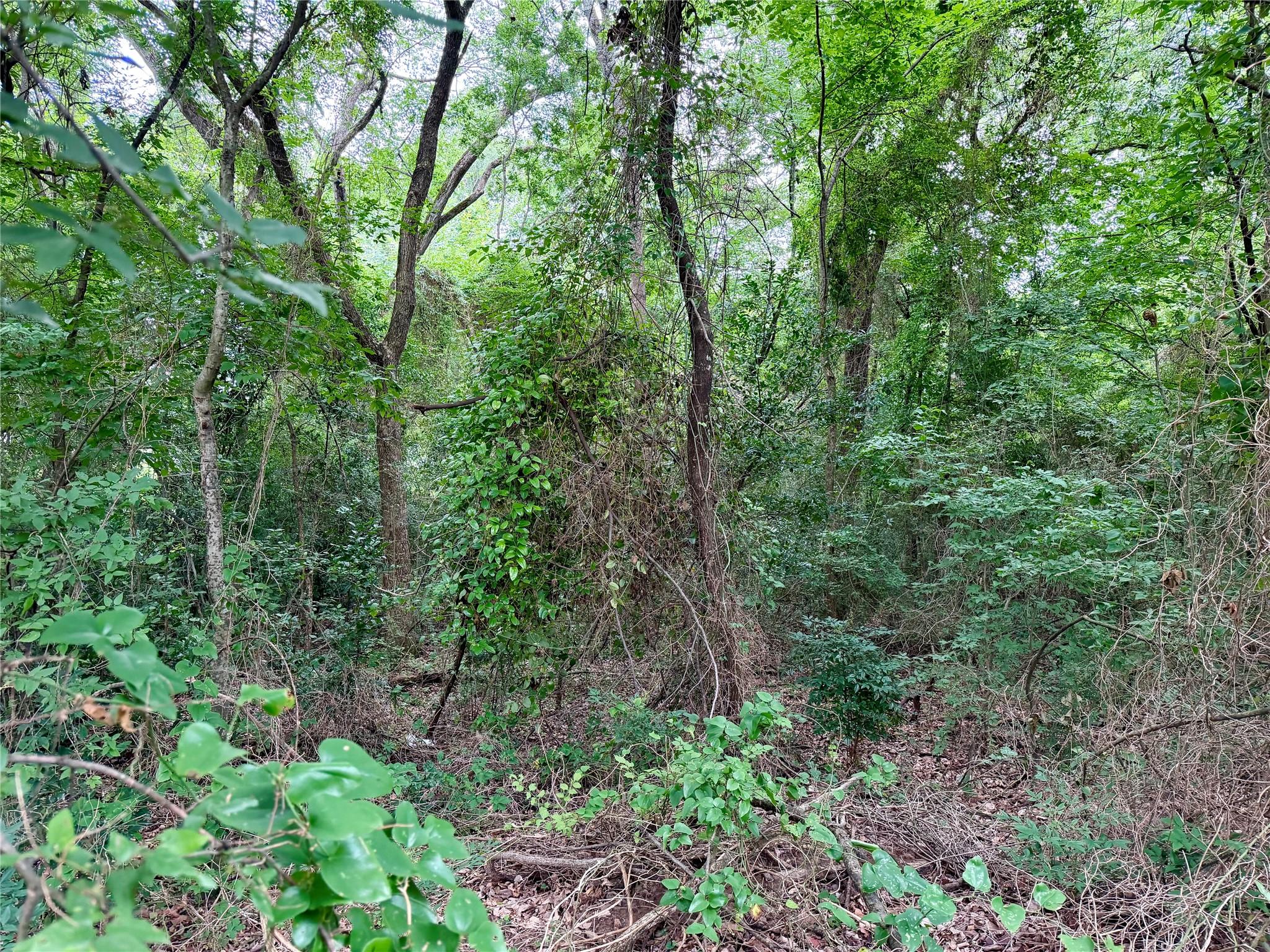 Image 4 Image 4