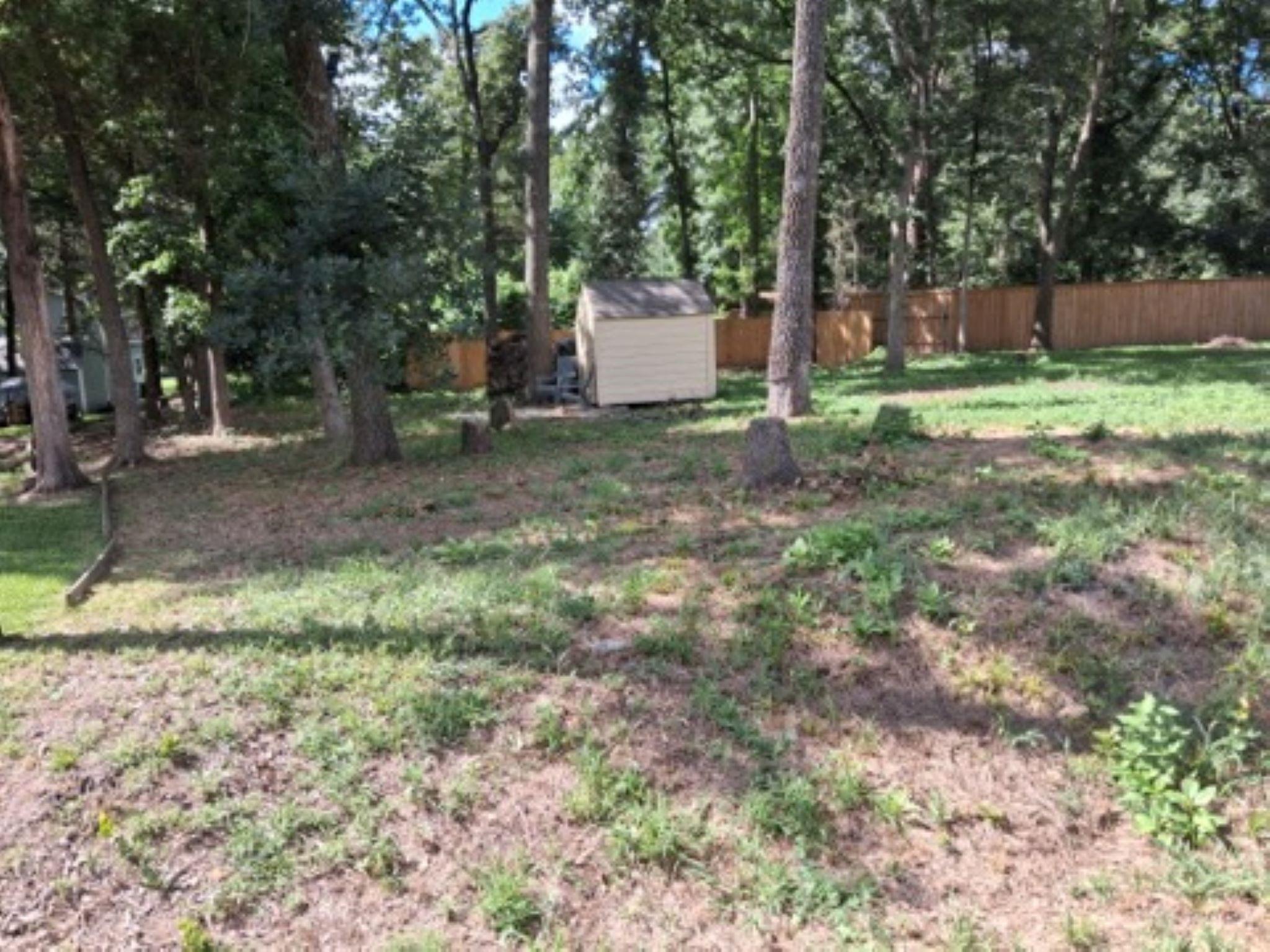 Image 1 Image 1