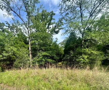 lot 2111 Butch Cassidy Drive