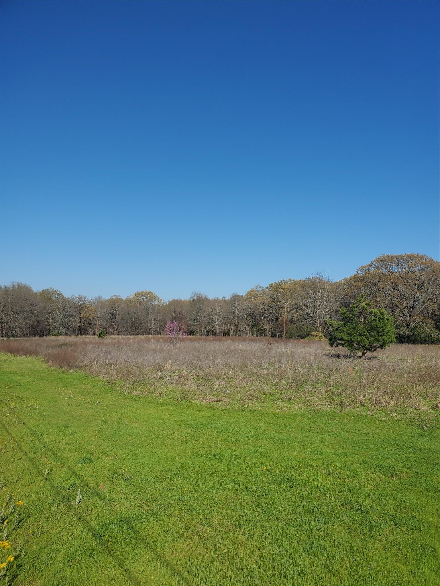 Image 2 Image 2