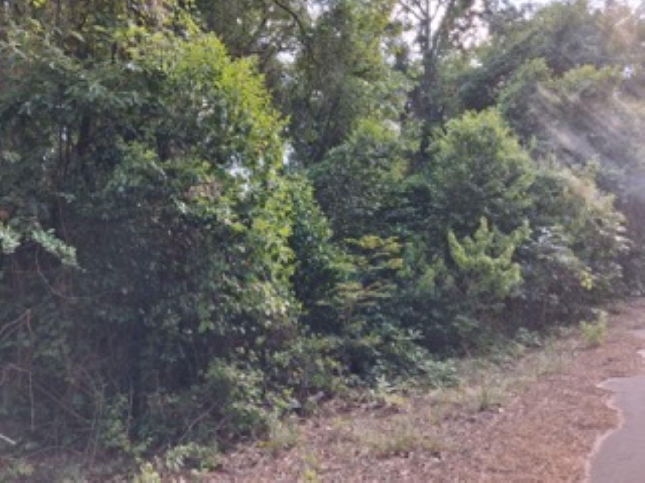 Image 4 Image 4