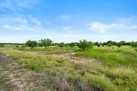 Lot 17 Brazos Valley Road