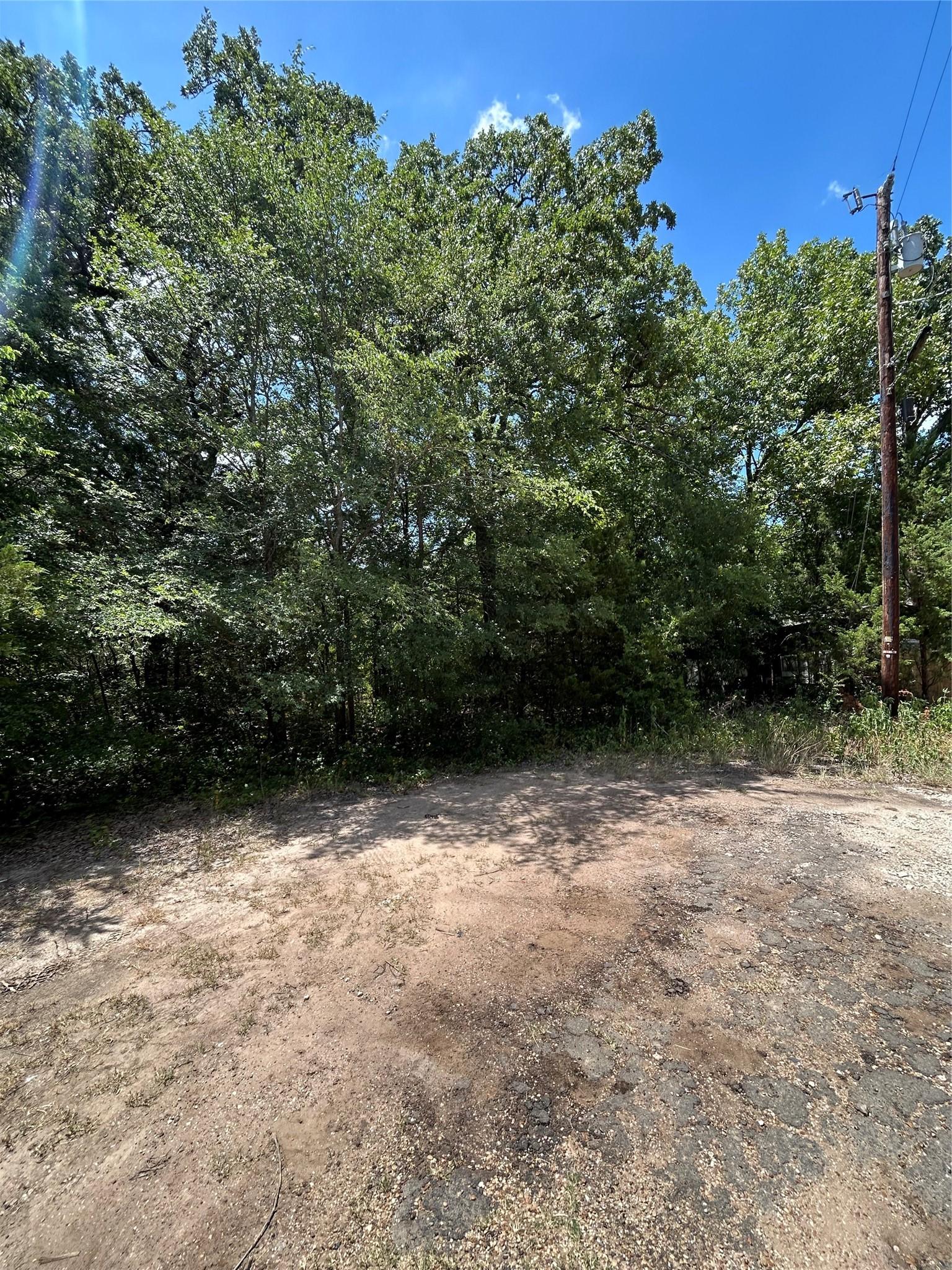 Image 4 Image 4