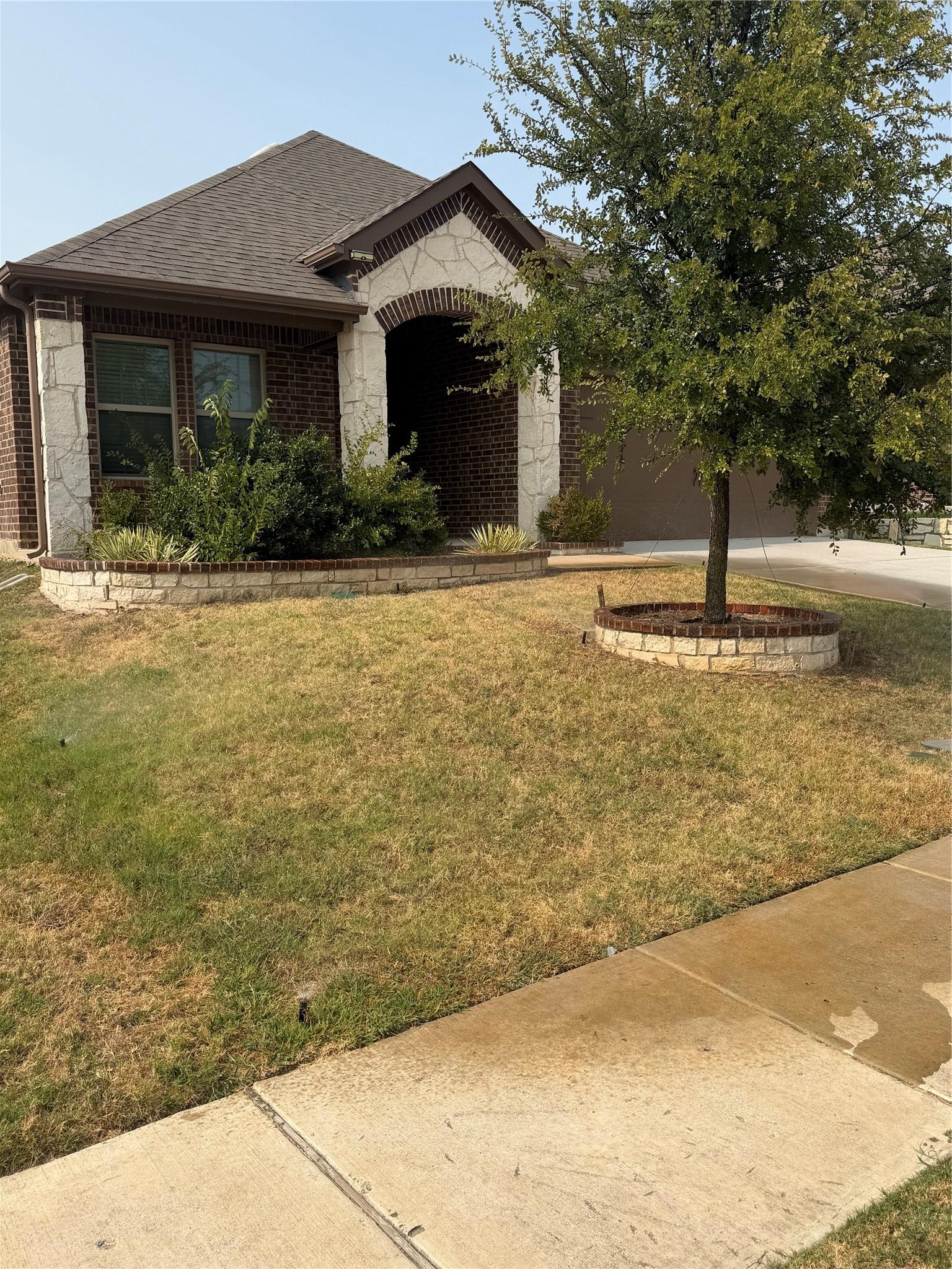 Image 1 Image 1
