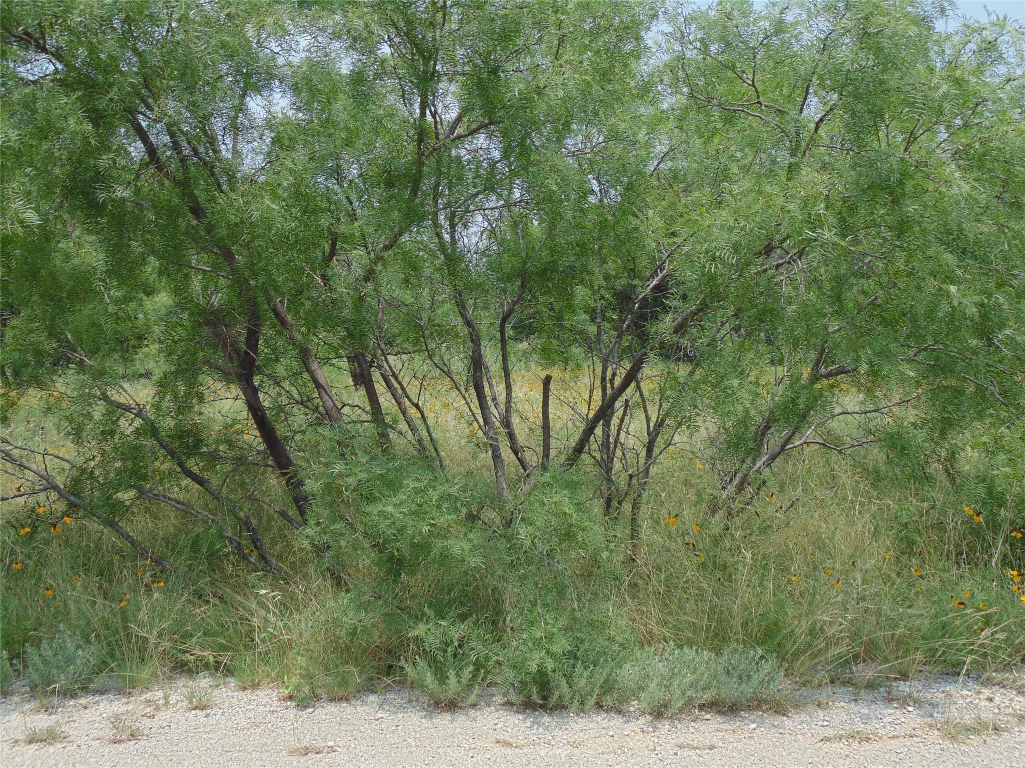 Image 3 Image 3