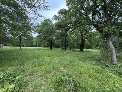 TBD Rs County Road 3360
