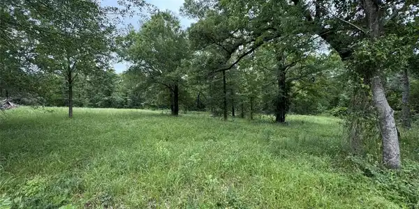 TBD Rs County Road 3360