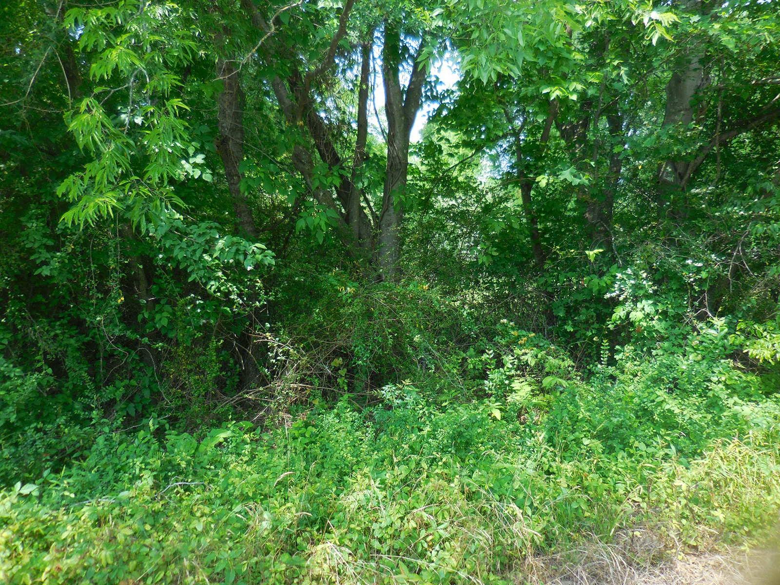 Image 3 Image 3