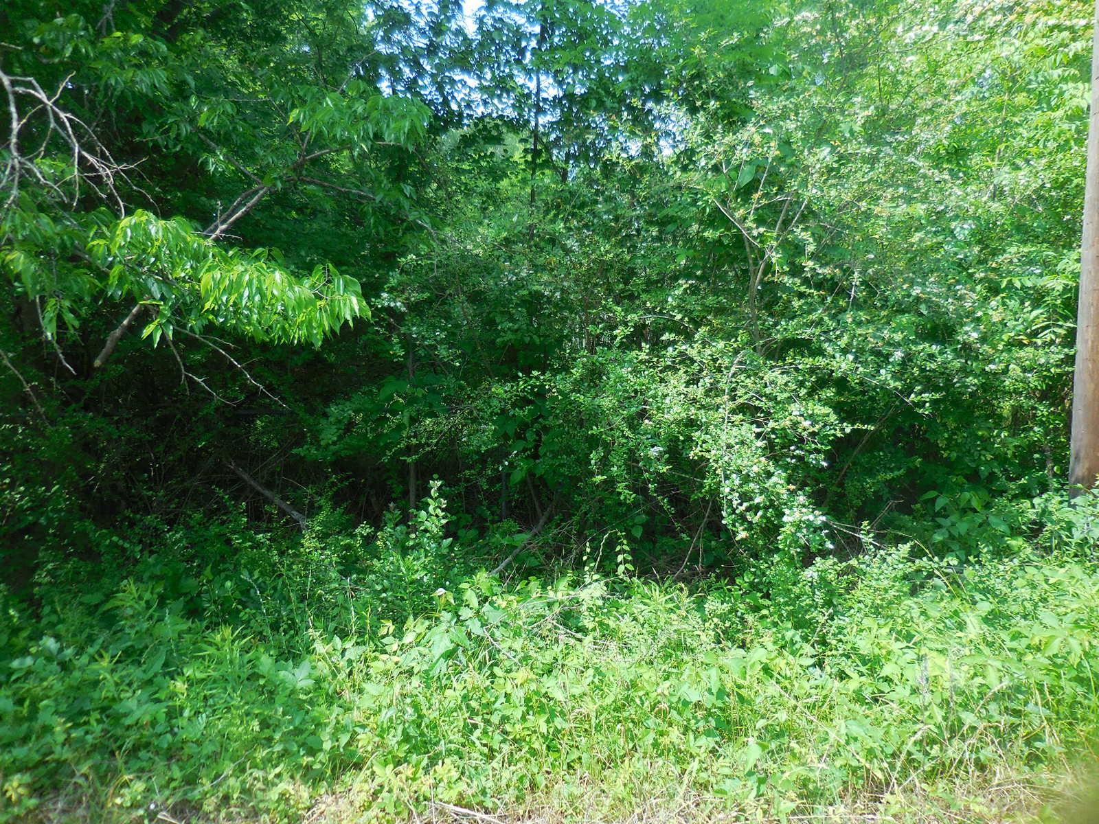 Image 4 Image 4