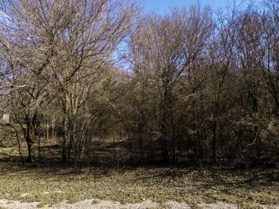 12039 Shady Creek Drive