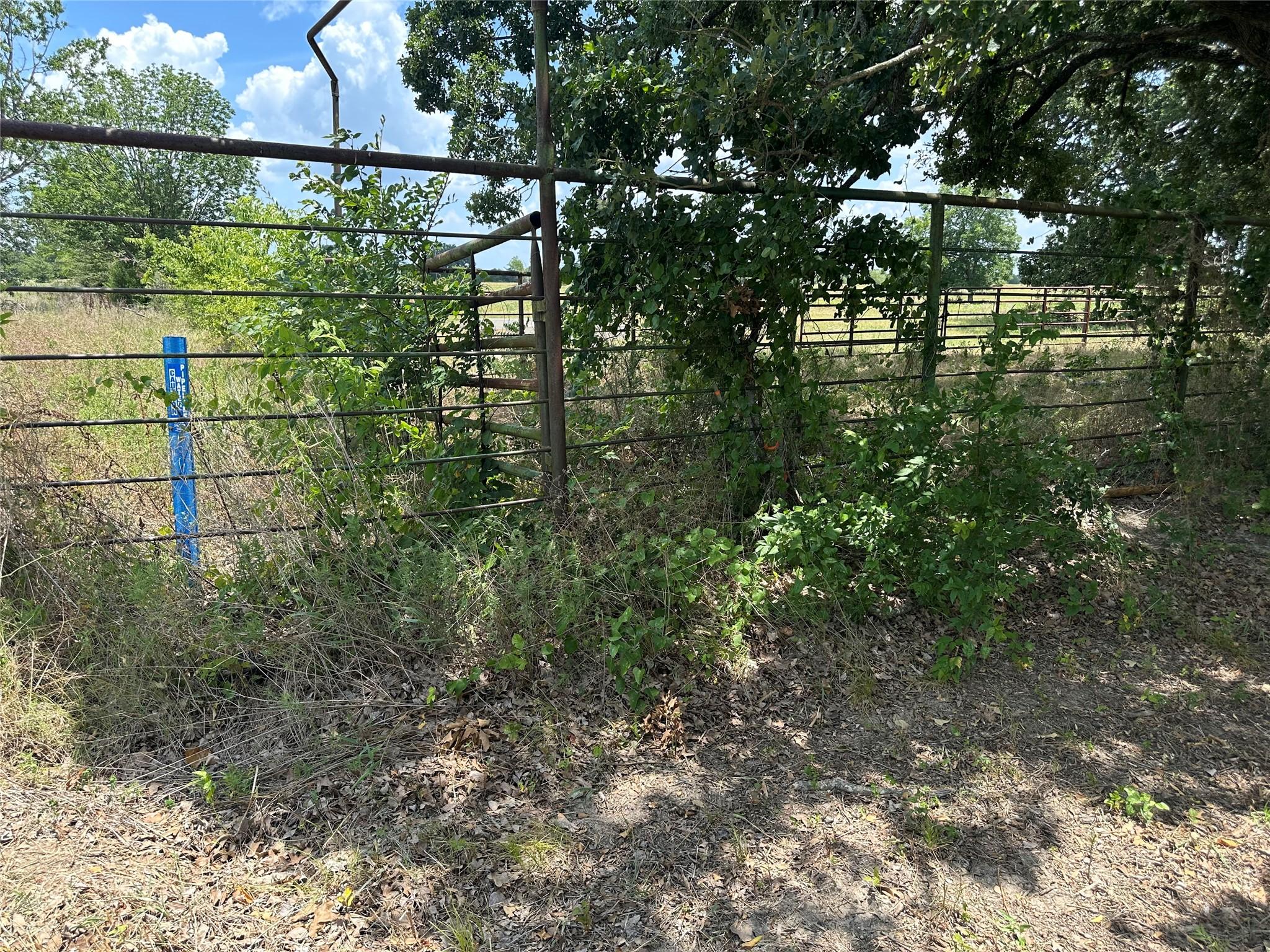 Image 3 Image 3