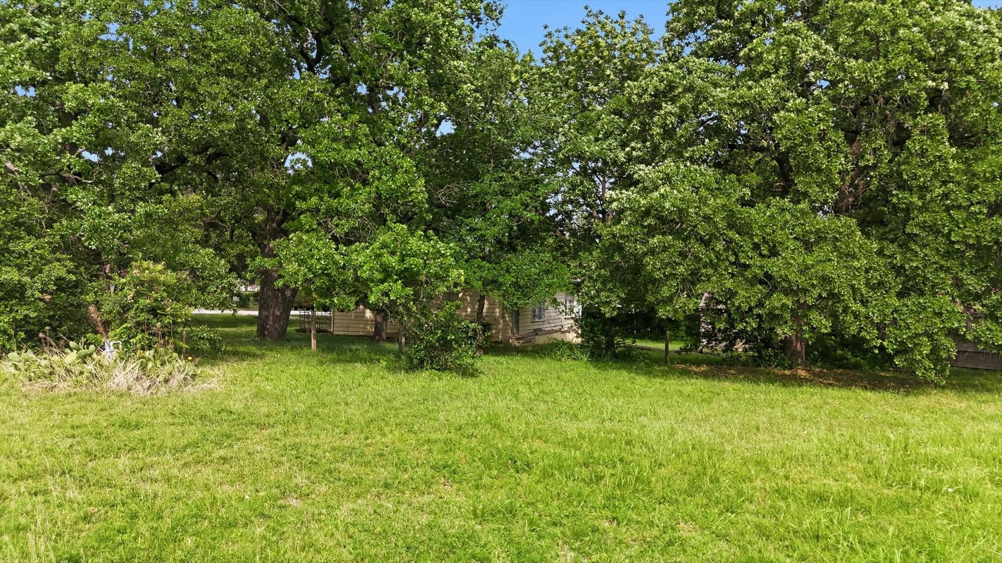 Image 1 Image 1