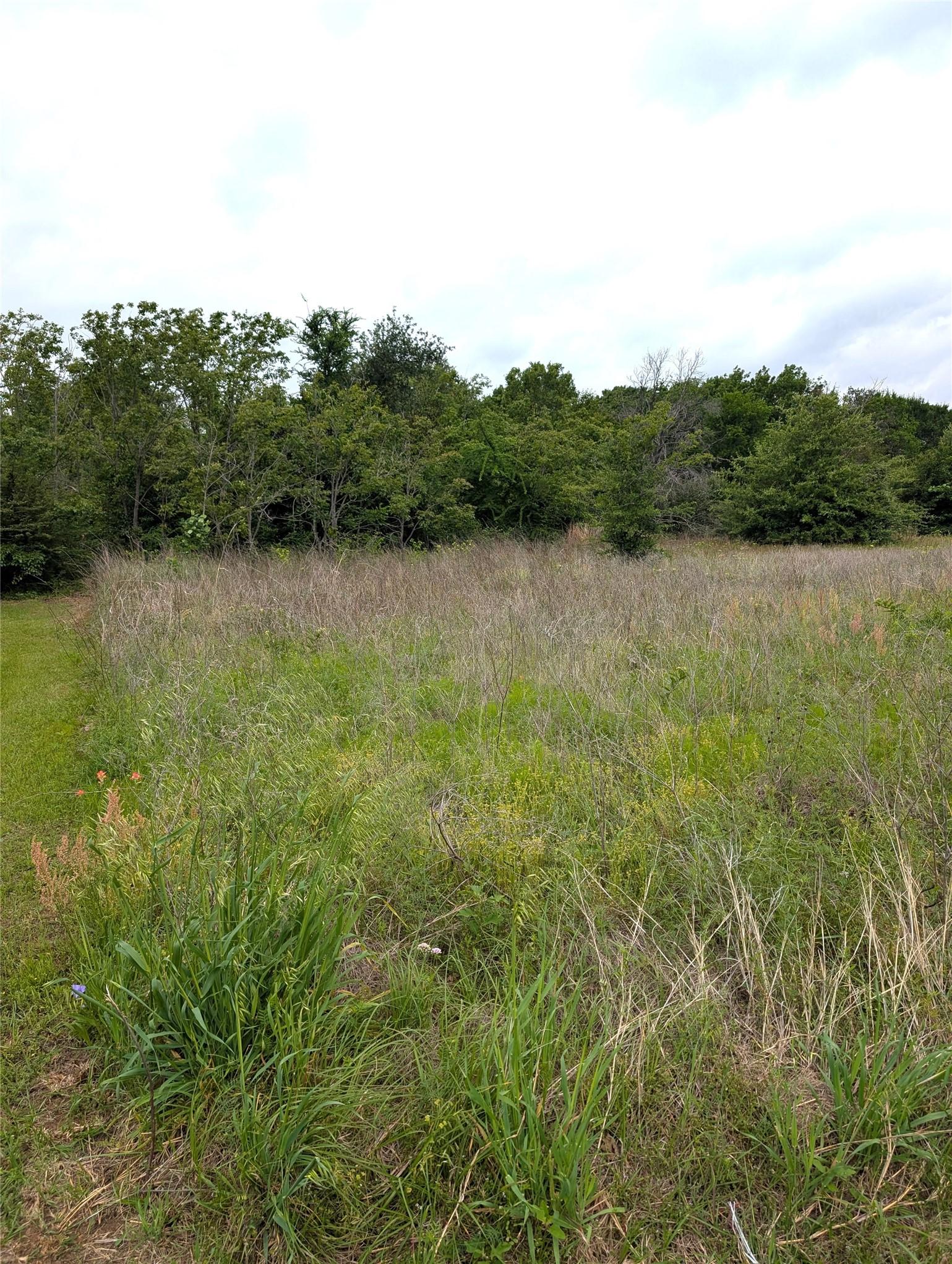 Image 1 Image 1