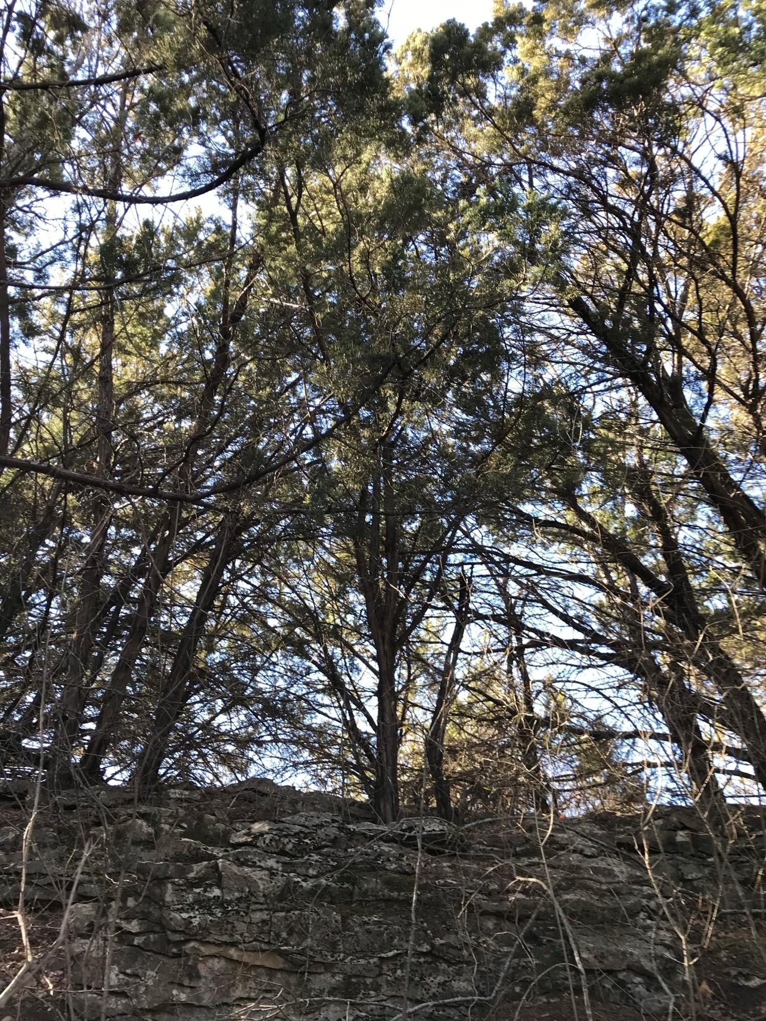 Image 2 Image 2