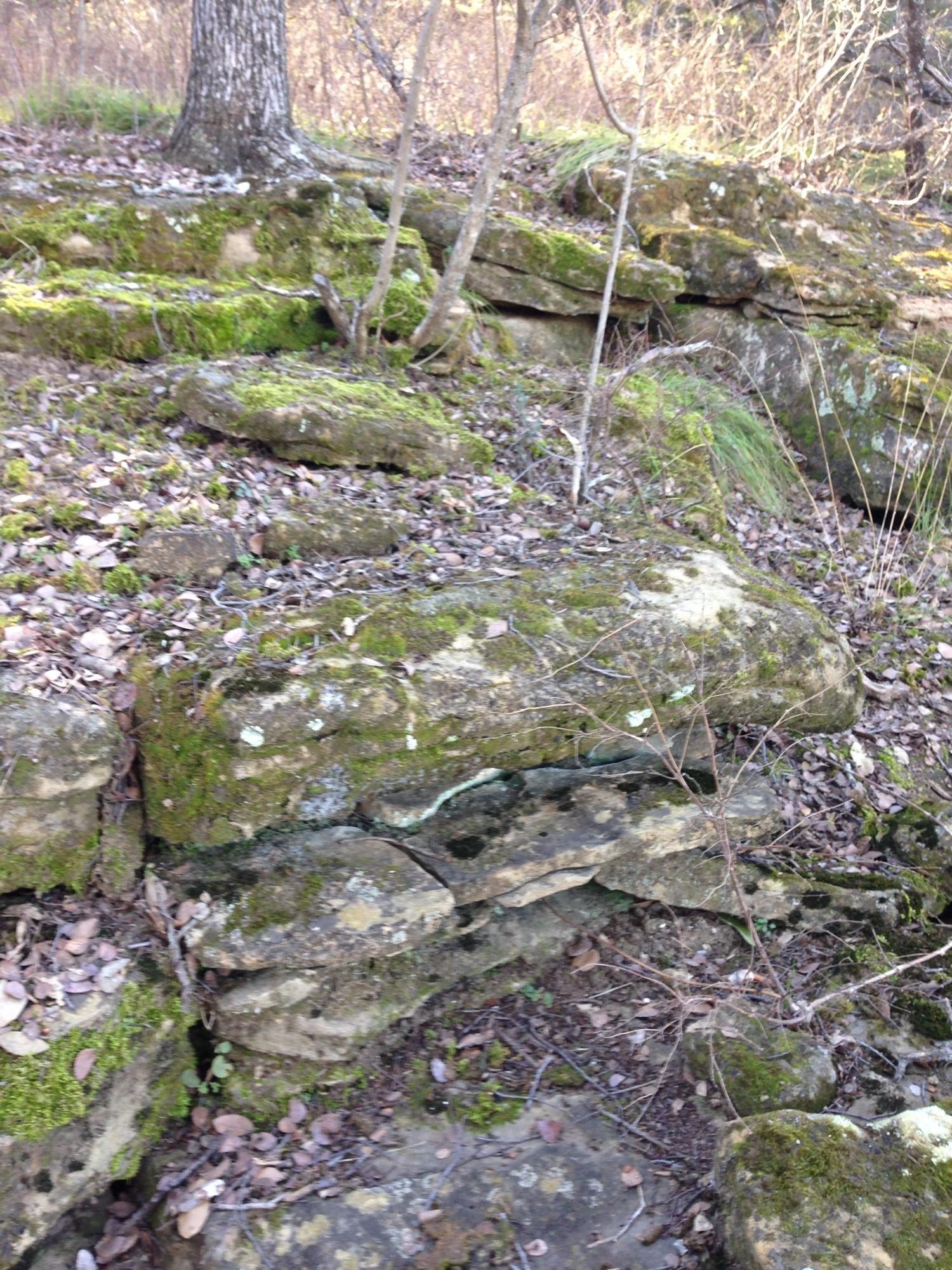 Image 3 Image 3