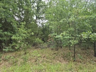 Lot 1007 Kickapoo Trail