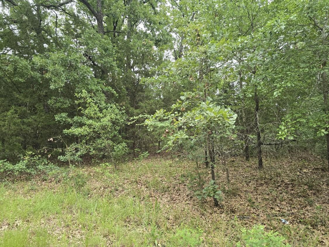 Image 3 Image 3