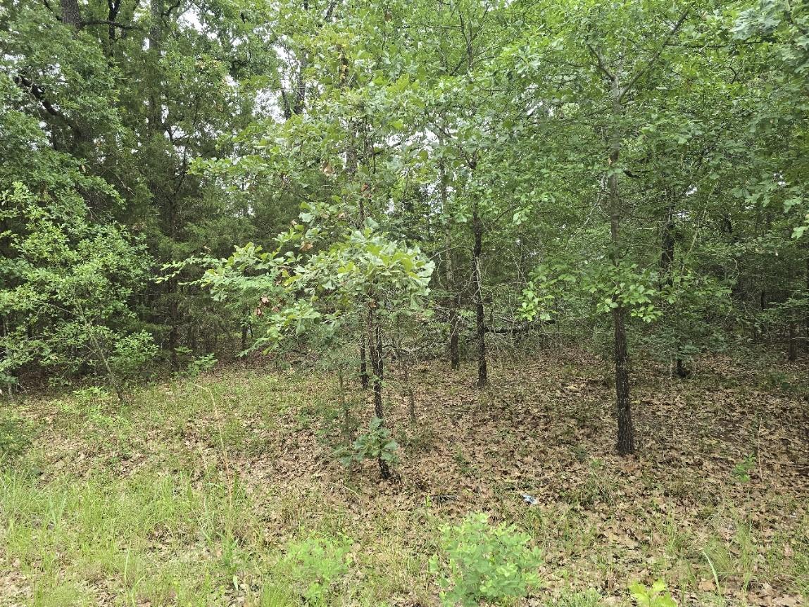 Image 4 Image 4