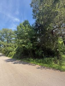 132 Ridgewood Drive
