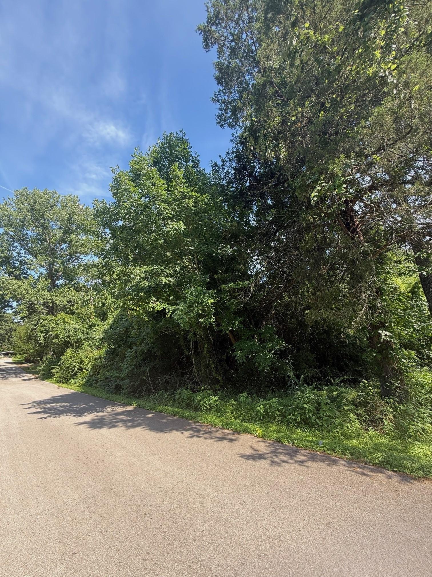 Image 1 Image 1