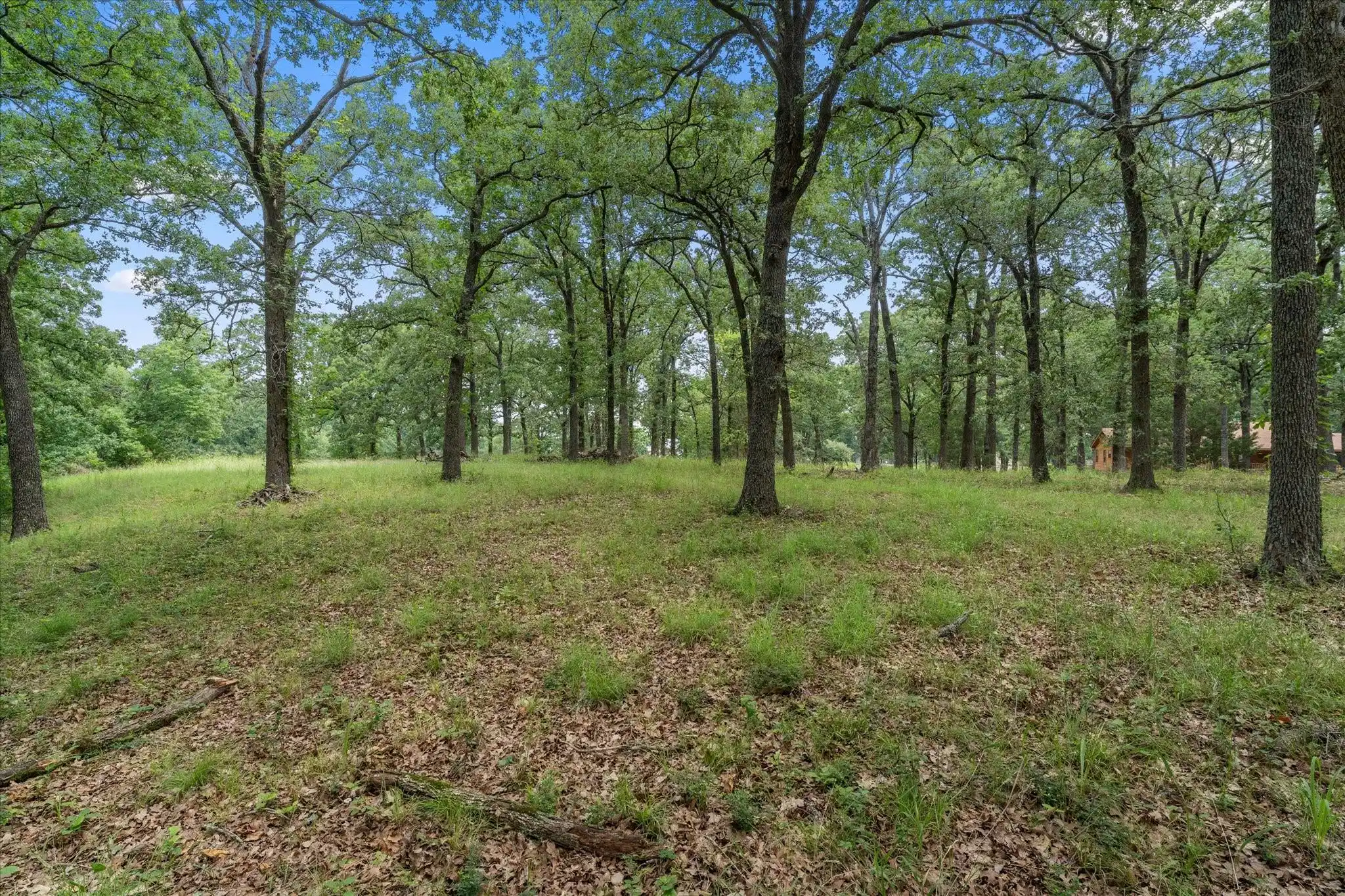 Image 1 Image 1