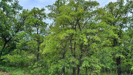143 Briarwood Trail