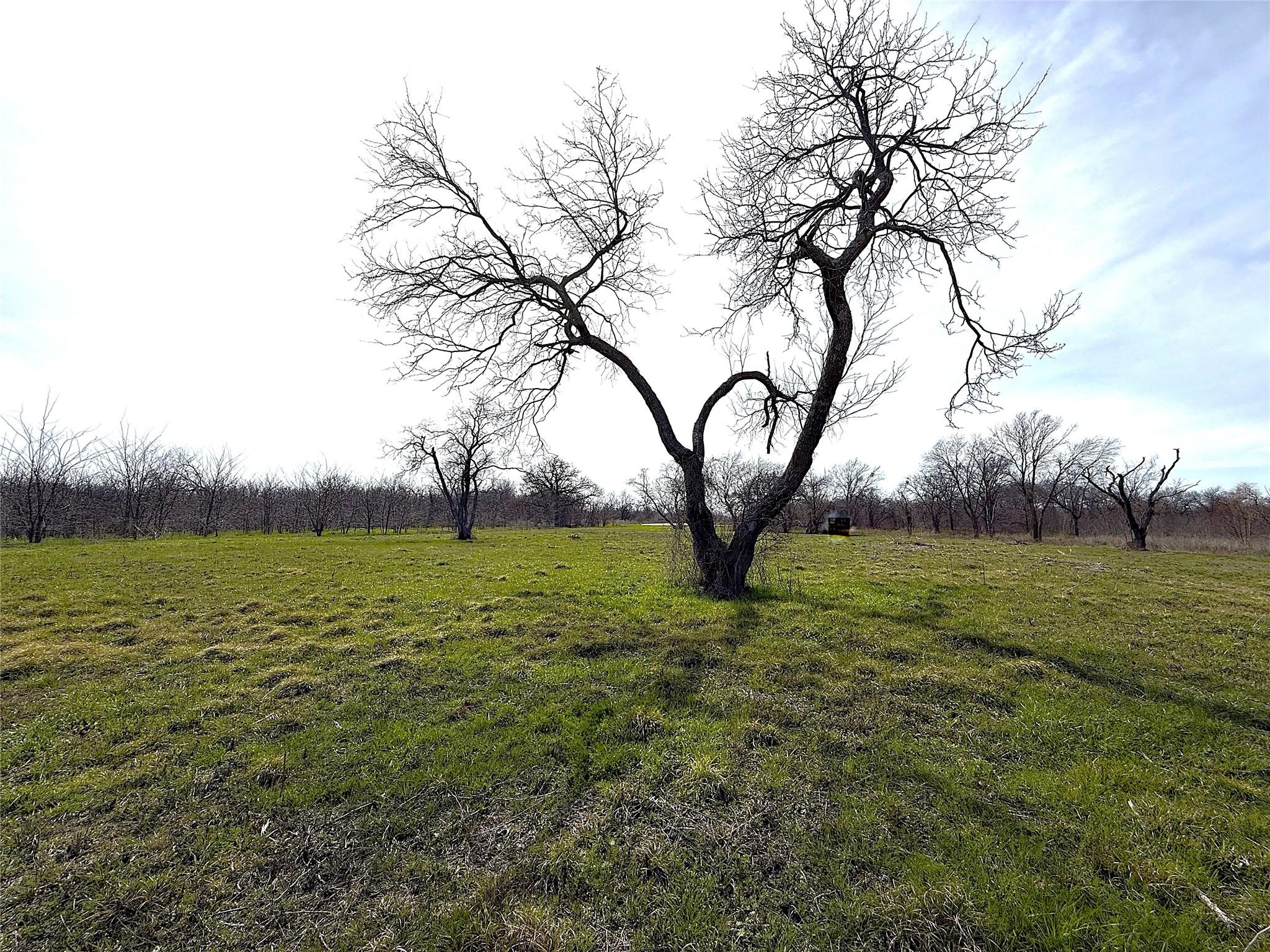 Image 3 Image 3