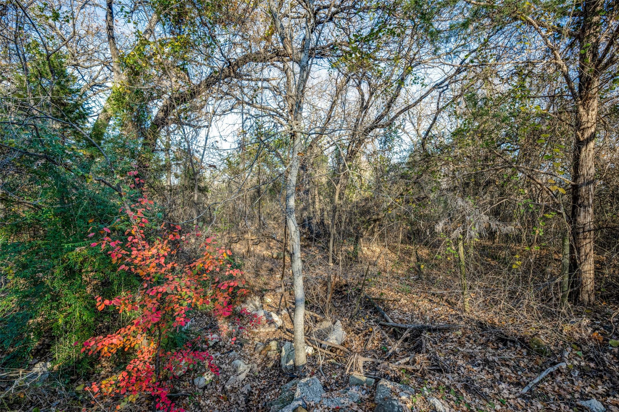 Image 3 Image 3