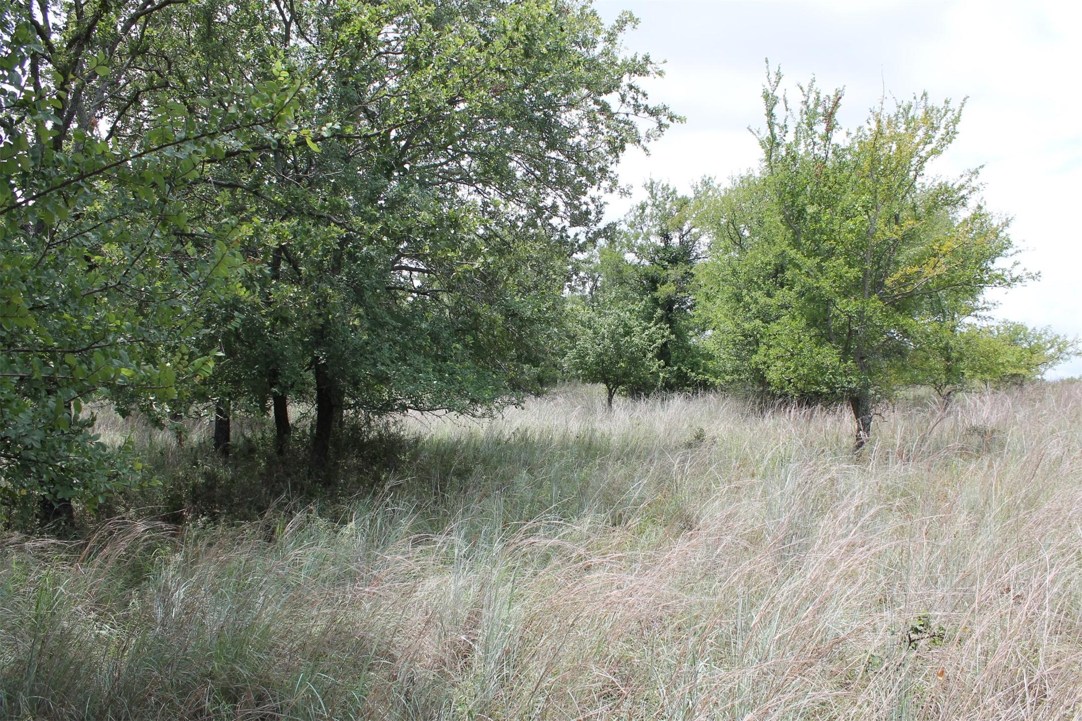 Image 3 Image 3