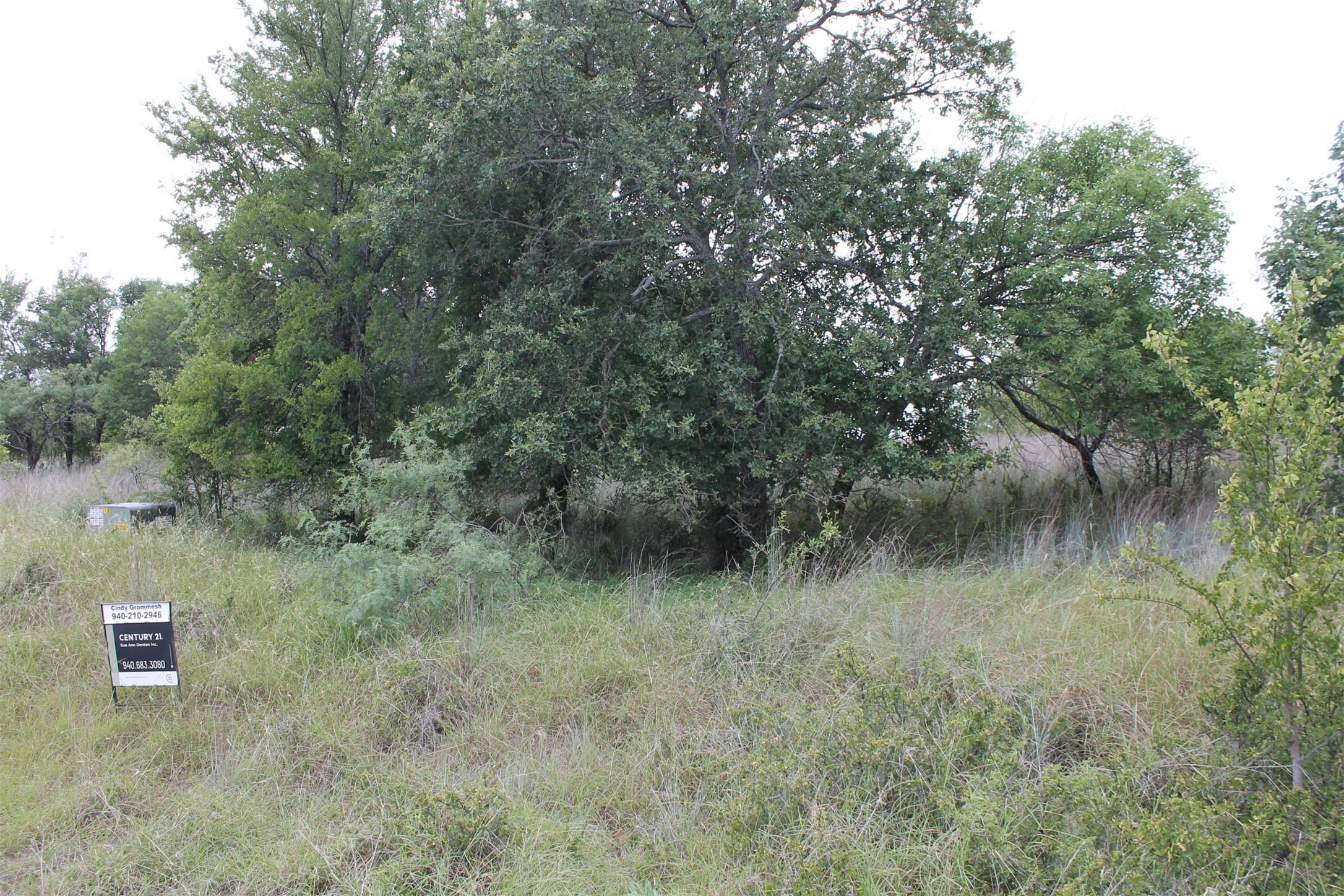 Image 4 Image 4