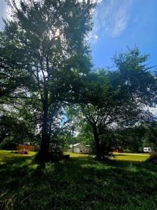 TBD Tanglewood Drive