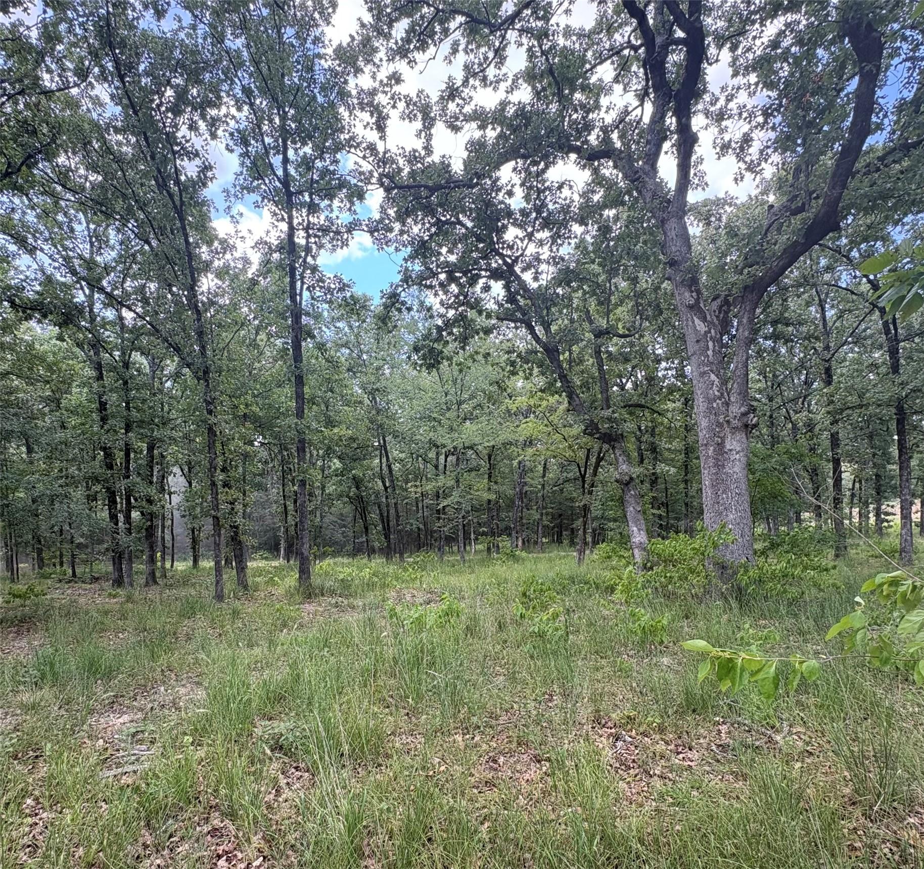 Image 4 Image 4