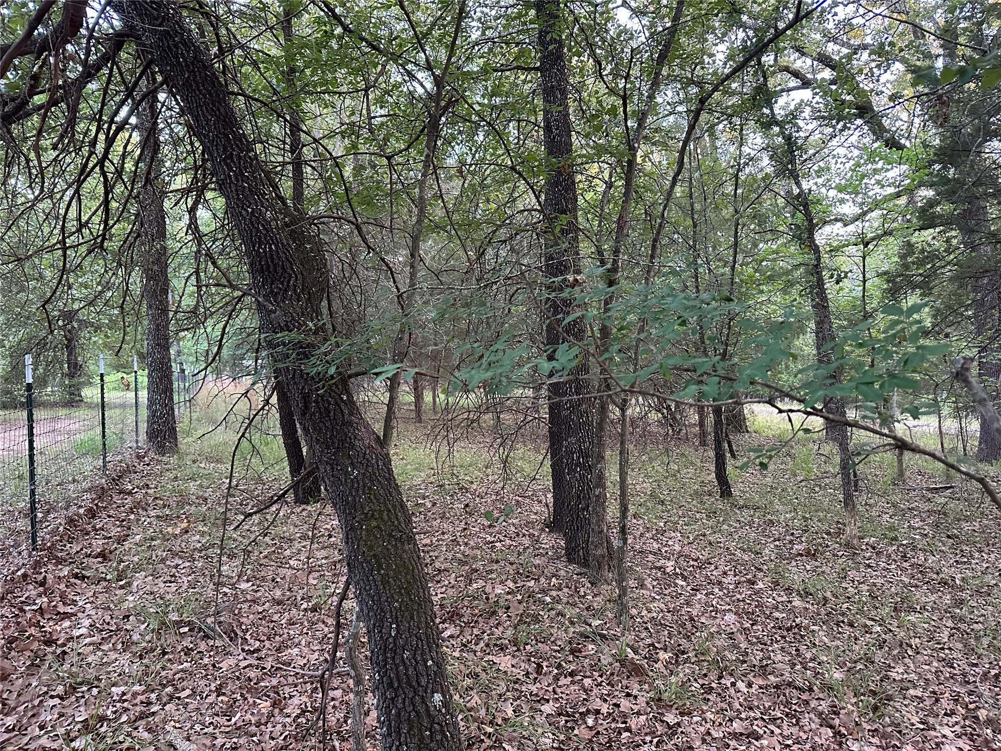Image 3 Image 3