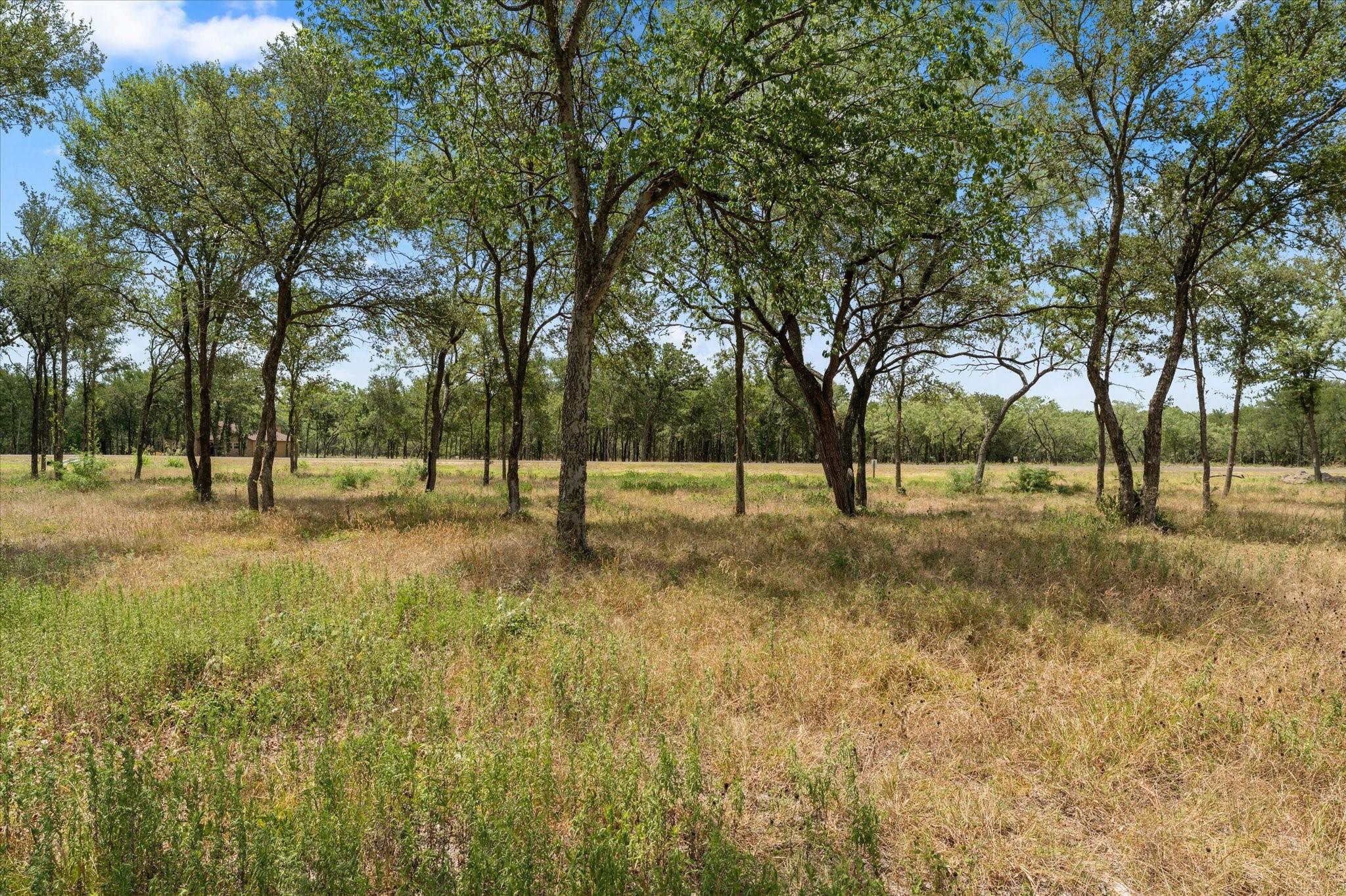 Image 4 Image 4